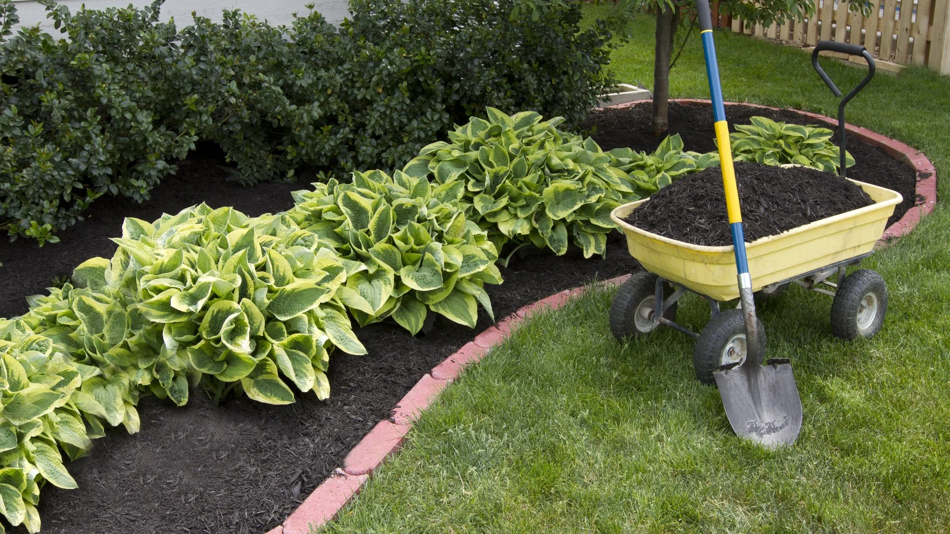 Tips for Making Your Landscape as Low Maintenance as Possible